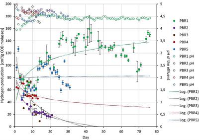 Dynamics and Complexity of Dark Fermentation Microbial Communities Producing Hydrogen From Sugar Beet Molasses in Continuously Operating Packed Bed Reactors